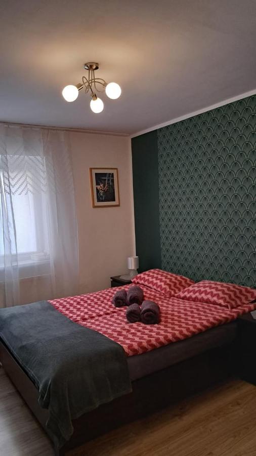 Apartament W Centrum Cichy Zakatek Gliwice Esterno foto